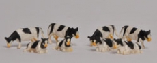 Set 8 vaci
